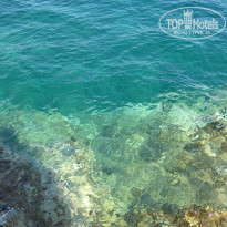 фото из отзыва ID 1230601