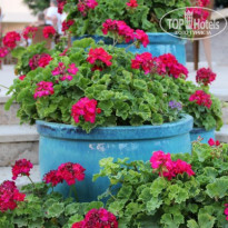 фото из отзыва ID 1230613