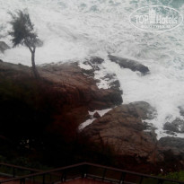 фото из отзыва ID 1230703