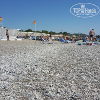 фото из отзыва ID 1230905