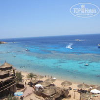 фото из отзыва ID 1231094