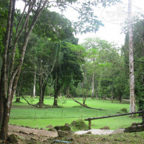 фото из отзыва ID 1231106