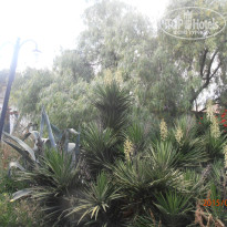 фото из отзыва ID 1231217