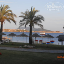 фото из отзыва ID 1231217