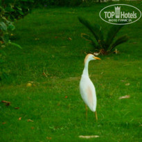 фото из отзыва ID 1231114