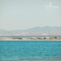 фото из отзыва ID 1231114