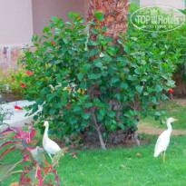 фото из отзыва ID 1231114