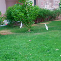 фото из отзыва ID 1231114