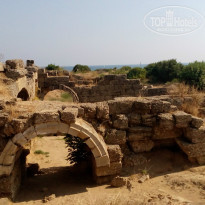 фото из отзыва ID 1231196