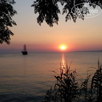 фото из отзыва ID 1231196