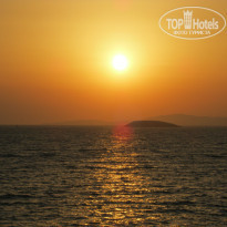 фото из отзыва ID 1231347