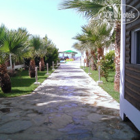 фото из отзыва ID 1231347