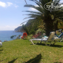 фото из отзыва ID 1231353