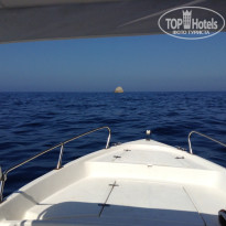 фото из отзыва ID 1231353