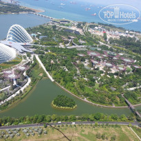 фото из отзыва ID 1231378