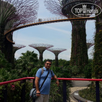 фото из отзыва ID 1231378