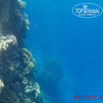 фото из отзыва ID 1231388