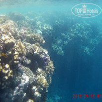 фото из отзыва ID 1231388