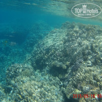 фото из отзыва ID 1231388