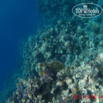 фото из отзыва ID 1231388