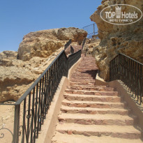 фото из отзыва ID 1231388