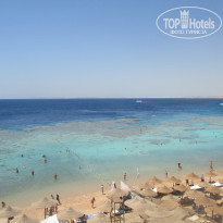 фото из отзыва ID 1231388