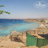 фото из отзыва ID 1231388