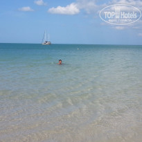 фото из отзыва ID 1231618