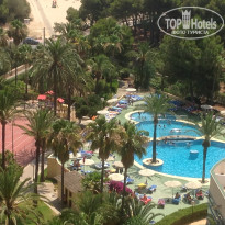 фото из отзыва ID 1231623