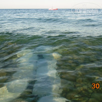 фото из отзыва ID 1231726