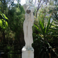 фото из отзыва ID 1231747