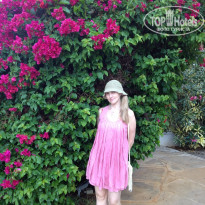 фото из отзыва ID 1231921