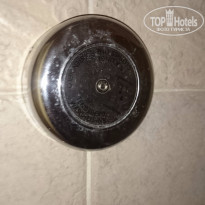 фото из отзыва ID 1231970