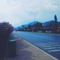 фото из отзыва ID 1232153