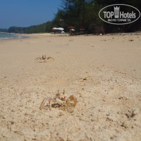 фото из отзыва ID 1232168