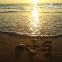 фото из отзыва ID 1232168