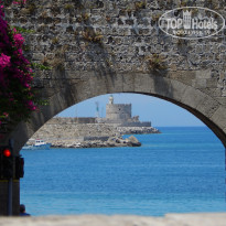 фото из отзыва ID 1232189