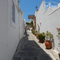 фото из отзыва ID 1232189