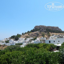 фото из отзыва ID 1232189