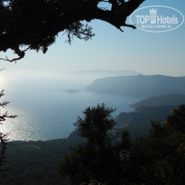 фото из отзыва ID 1232189