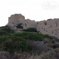 фото из отзыва ID 1232189