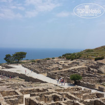 фото из отзыва ID 1232189