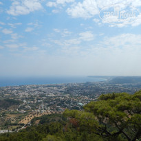 фото из отзыва ID 1232189