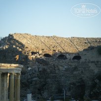 фото из отзыва ID 1231695