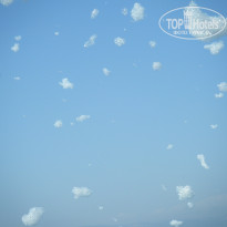 фото из отзыва ID 1231695