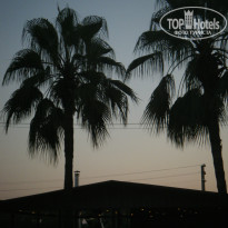 фото из отзыва ID 1231695