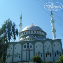 фото из отзыва ID 1231695