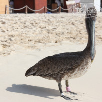 фото из отзыва ID 1232284