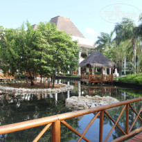 фото из отзыва ID 1232284