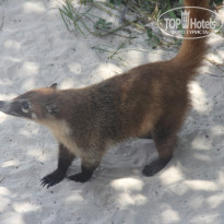 фото из отзыва ID 1232284